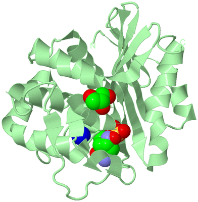 Image Biological Unit 2