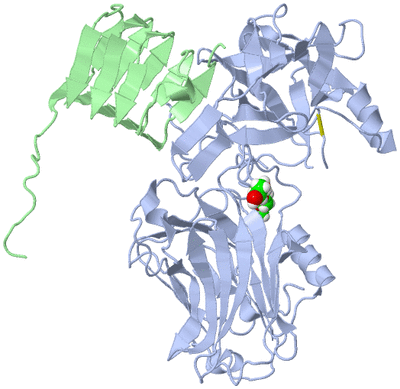 Image Asym./Biol. Unit