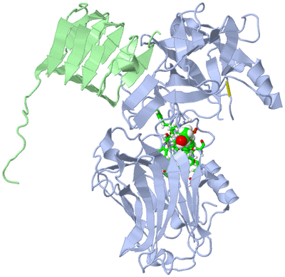 Image Asym./Biol. Unit - sites