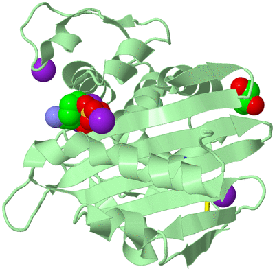 Image Biological Unit 2