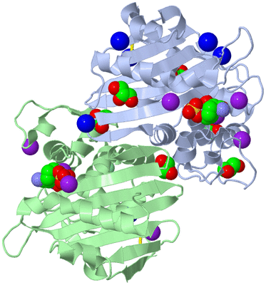 Image Biological Unit 3