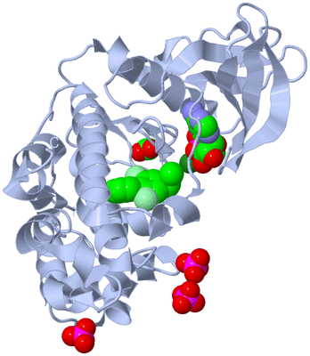 Image Biological Unit 1