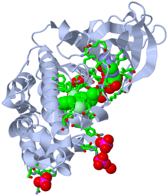 Image Biol. Unit 1 - sites