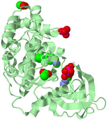 Image Biological Unit 2