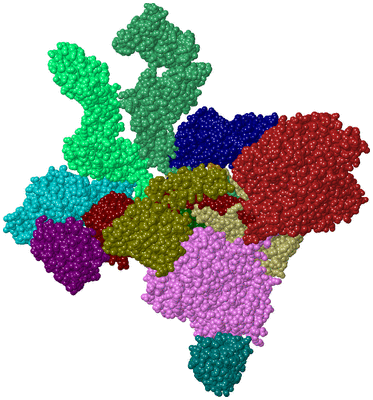 Image Asym./Biol. Unit