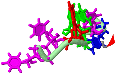 Image NMR Structure - model 1