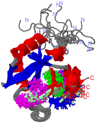 Image NMR Structure - all models