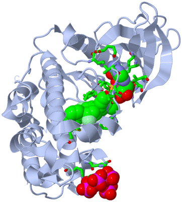 Image Biol. Unit 1 - sites