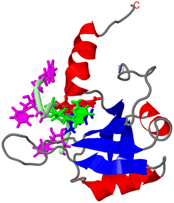 Image NMR Structure - model 1