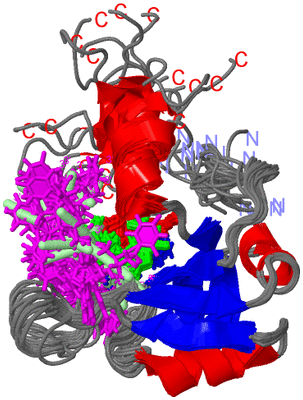 Image NMR Structure - all models