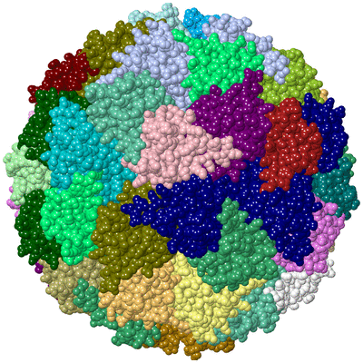 Image Asym./Biol. Unit