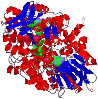 Image Asym./Biol. Unit