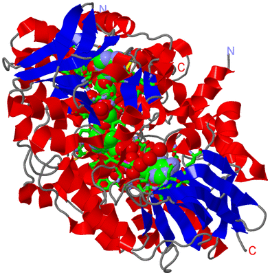 Image Asym./Biol. Unit - sites