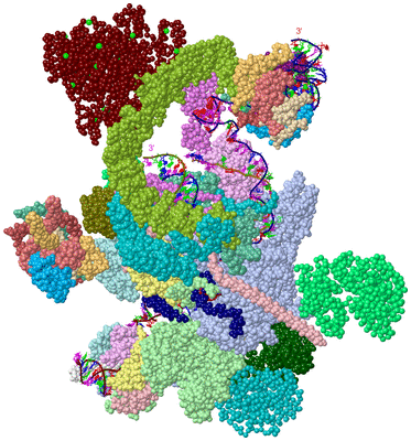 Image Asym./Biol. Unit