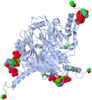 Image Biological Unit 1