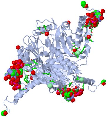 Image Biol. Unit 1 - sites