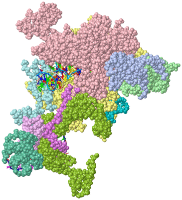 Image Asym./Biol. Unit - sites