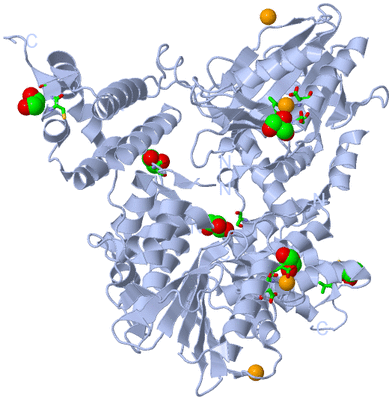 Image Biol. Unit 1 - sites