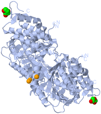 Image Biological Unit 1