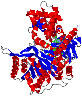 Image Asym./Biol. Unit - sites