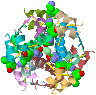 Image Biological Unit 2