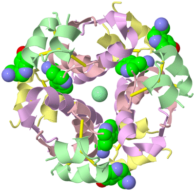 Image Biological Unit 4