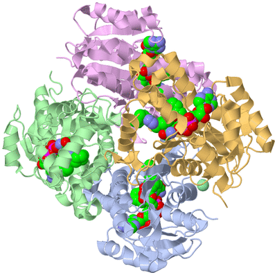 Image Biological Unit 1