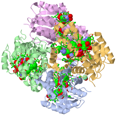 Image Biol. Unit 1 - sites