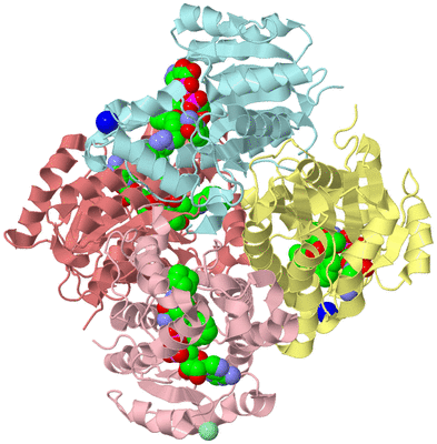 Image Biological Unit 2