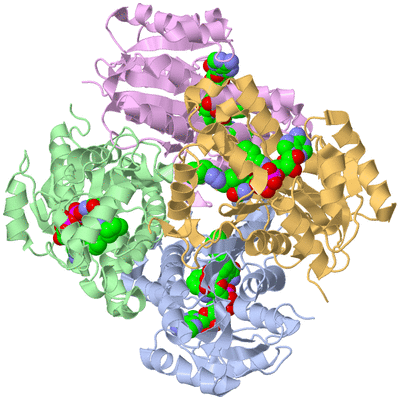 Image Biological Unit 1