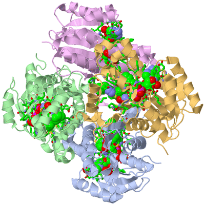 Image Biol. Unit 1 - sites