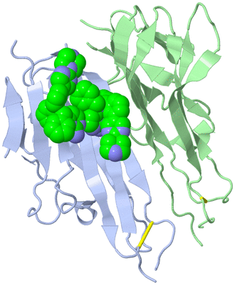 Image Biological Unit 1