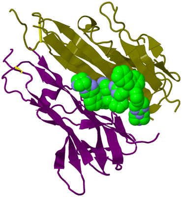 Image Biological Unit 11