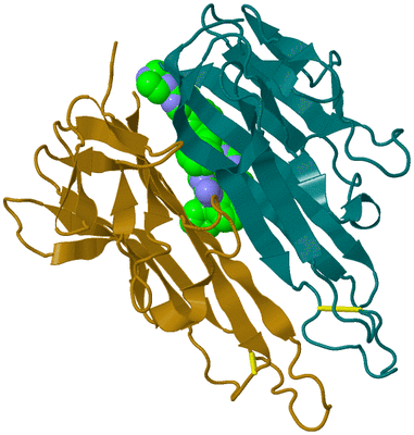 Image Biological Unit 12