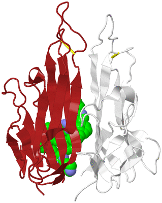 Image Biological Unit 13