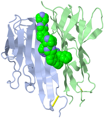 Image Biological Unit 14