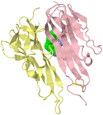 Image Biological Unit 15