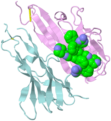 Image Biological Unit 16