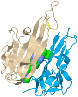 Image Biological Unit 18