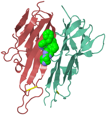 Image Biological Unit 19