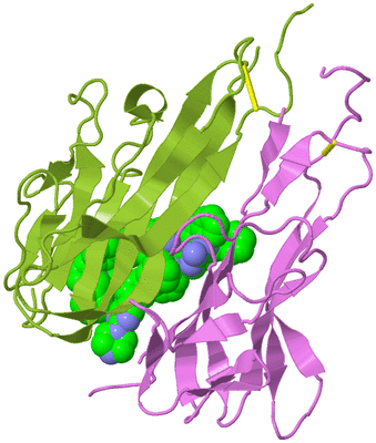 Image Biological Unit 20