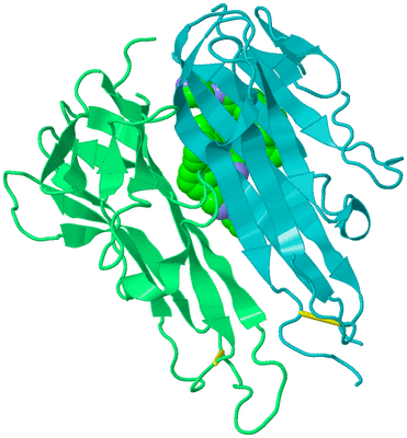 Image Biological Unit 21