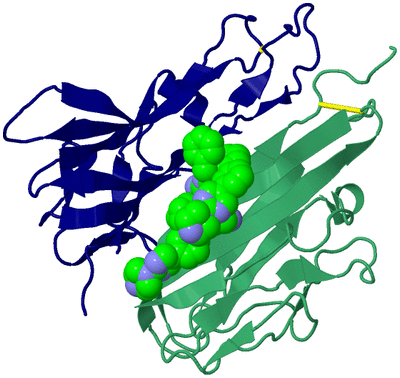 Image Biological Unit 22