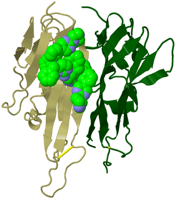 Image Biological Unit 23