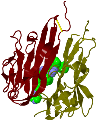 Image Biological Unit 24