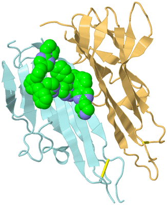 Image Biological Unit 3