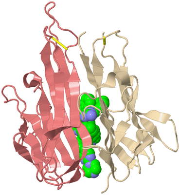 Image Biological Unit 4