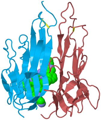 Image Biological Unit 5