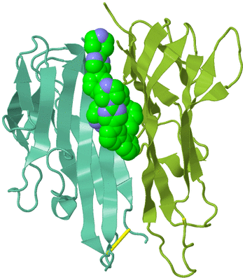 Image Biological Unit 6