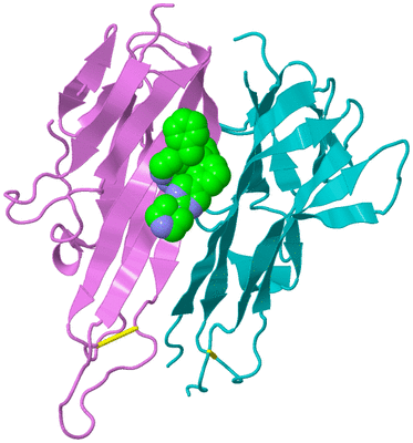 Image Biological Unit 7